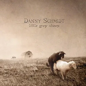 Little grey sheep